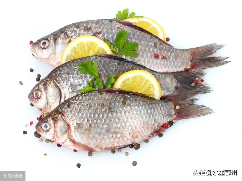 草魚養(yǎng)殖技術(shù)升級(jí)，全方位指南提升產(chǎn)量與品質(zhì)