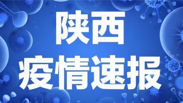 最新疫情動(dòng)態(tài)全面解析報(bào)告