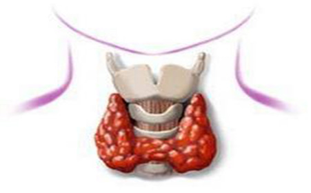 甲狀腺最新研究現(xiàn)狀與進(jìn)展探討