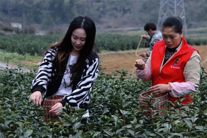 幸有志最新動態(tài)，引領前沿科技，探索未來創(chuàng)新之路